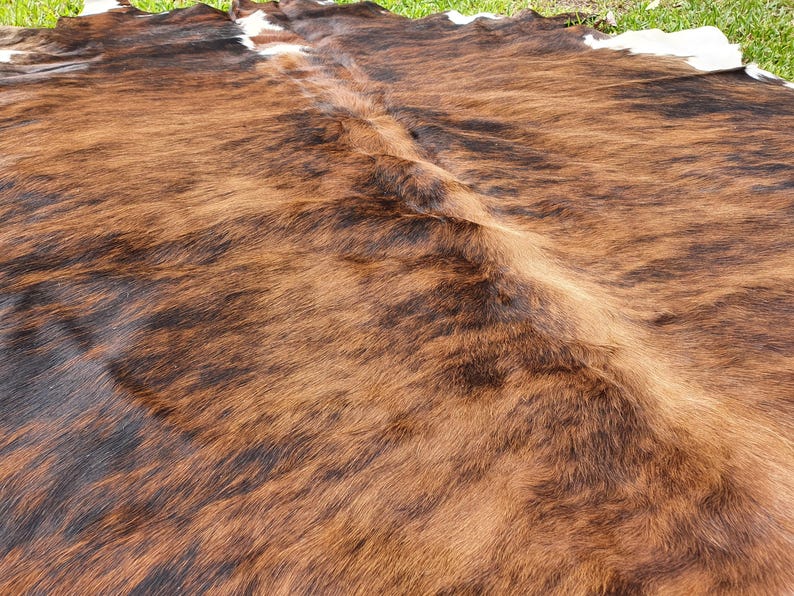 May include: A brown and black cowhide rug with a natural, textured surface.