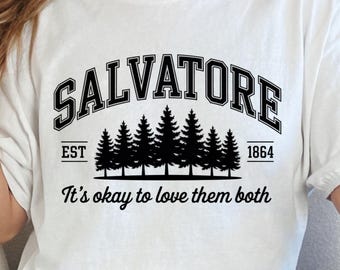 damon salvatore, mystic falls, mystic falls shirt, salvatore brother, stefan salvatore, team damon, the vampire diaries, vampire diaries