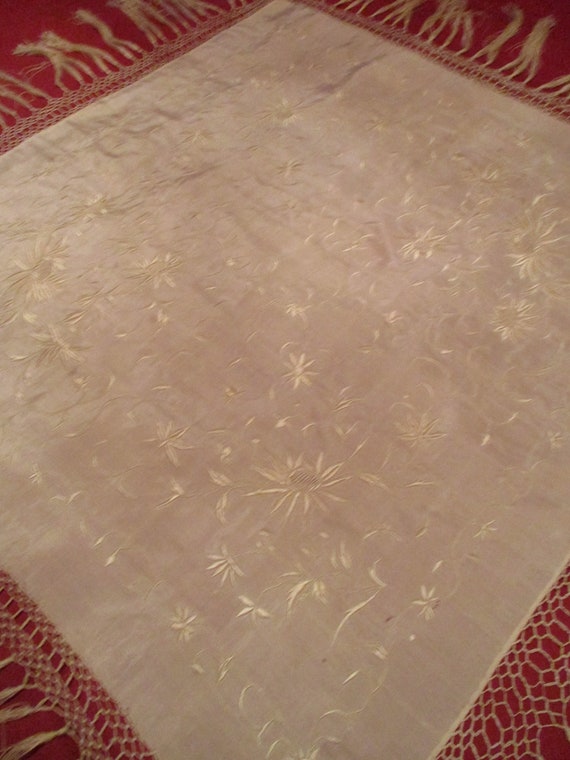 A Beautiful Shawl - image 1