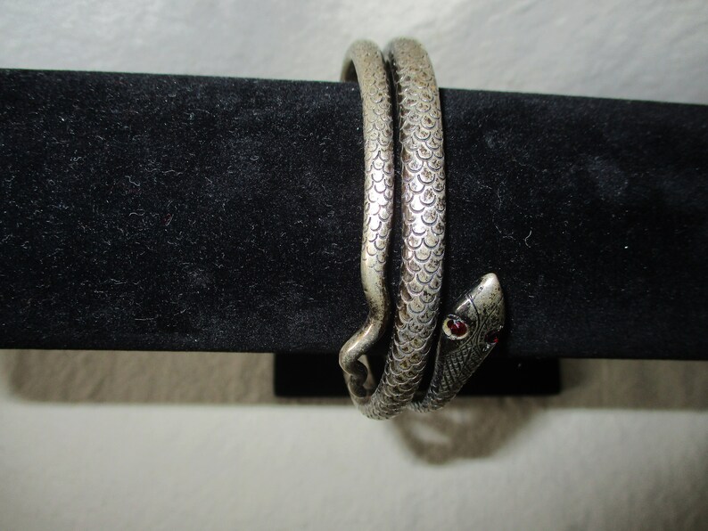 Red Eyed Serpent