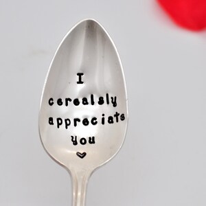 I Cerealsly appreciate You - Couple&#39;s Gift - gift for a  friend - Gift for Boyfriend - for her him dad Christmas