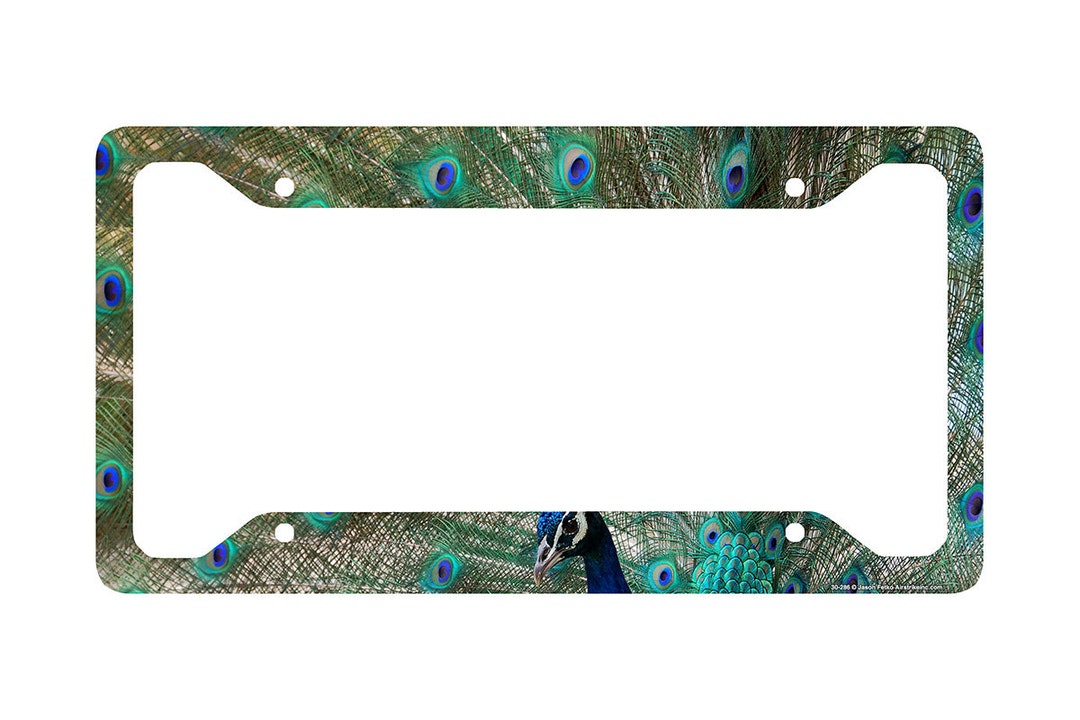 Peacock License Plate Frame Peacock Car Tag Frame Peacock Etsy