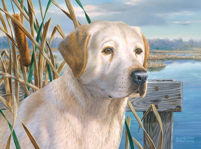 Yellow Lab Wall Decor Yellow Lab Canvas Art Large Lab Etsy