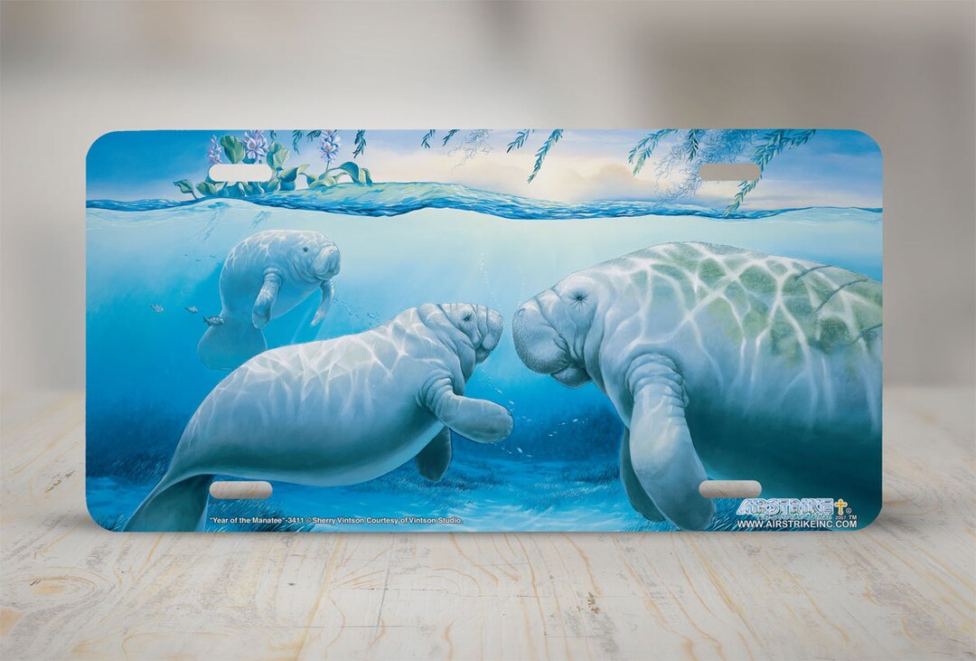Manatee License Plate, Manatee Car Tag, Manatee Front License Plate