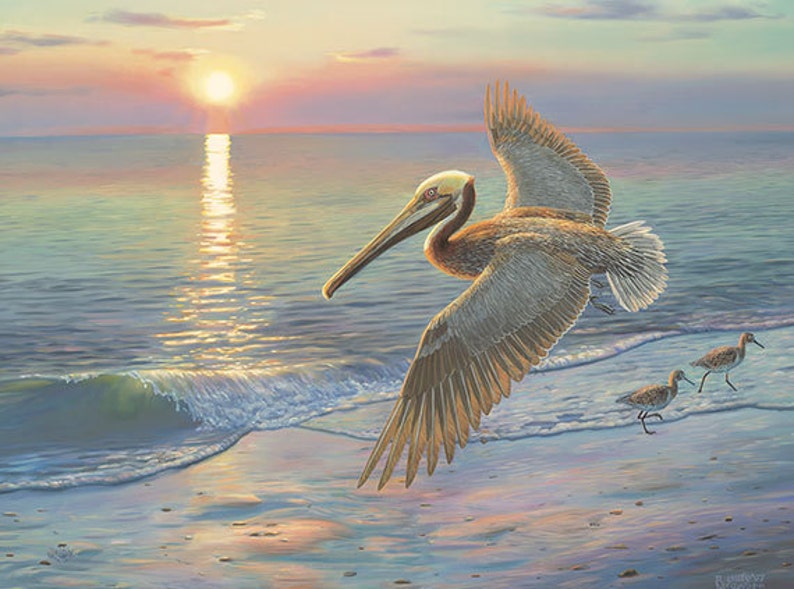 Pelican Wall Decor Beach Canvas Art Large Pelican Painting Etsy