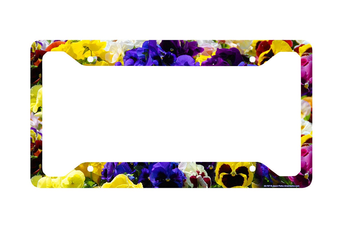 Flower License Plate Frame Pansy Flowers Car Tag Frame Etsy