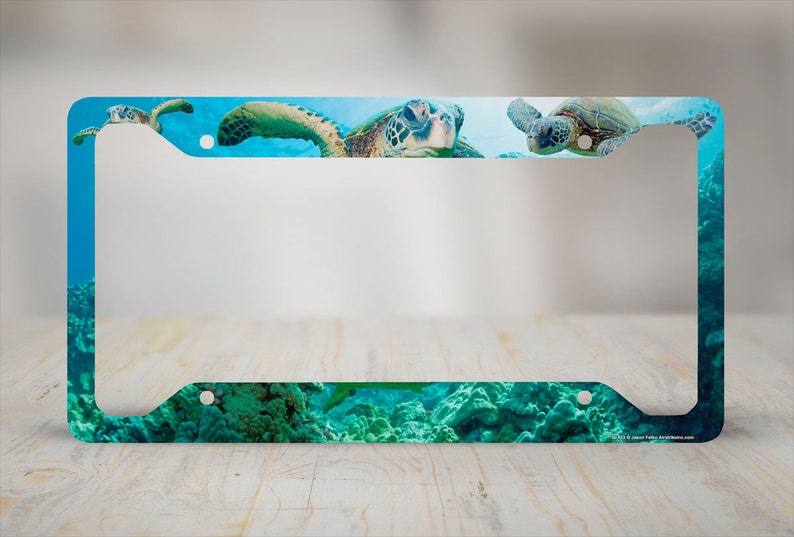 Sea Turtle License Plate Frame Beach Car Tag Frame Beach Etsy