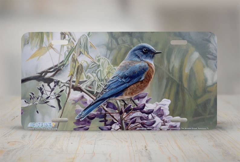 Blue Bird License Plate Blue Bird Front License Plate Blue Bird Car Tag Blue Bird Decorative License Plate-Springtime Blues-3533