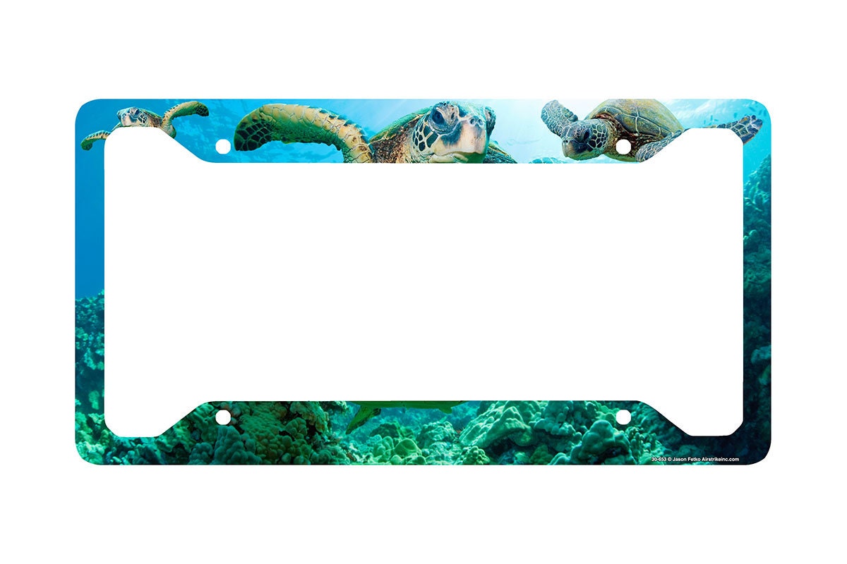 Sea Turtle License Plate Frame Beach Car Tag Frame Beach Etsy