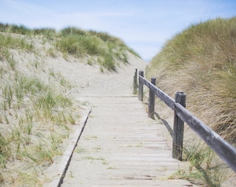 Northern Caifornia Photography, Bodega Bay Photography, Sand Dune Photography, Beach Photo Art, 8x10 Photo, Art Decor