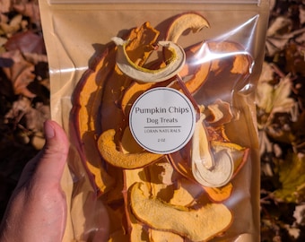 Pumpkin Dog Treats