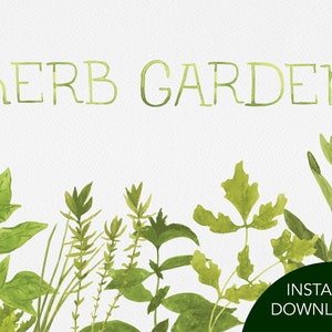 Herb Garden Watercolor Graphics Collection, Clip Art Bundle Instant, Download Digital Graphics, Garden Clip Art, Watercolor Illustrations
