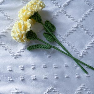 Carnation Flower, carnation, carnation bouquet, flowers for her, gift for her, wedding flowers, valentines gift, valentines, flower bouquet