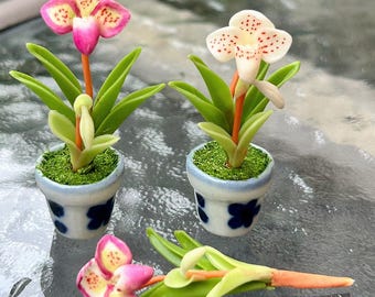 Miniature Flower,Miniature DIY Flower,Dollhouse Flower,Miniature Garden,Dollhouse Flower Clay,Flower,Mini Flower