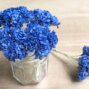 10mm.Miniatur Maulbeerpapier Gypsophila,Miniatur Papier Blume,Maulbeerpapier Gypsophila,Puppenhaus Papierblume,DIY