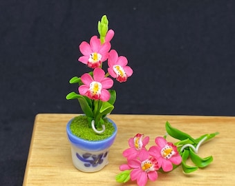 ドールハウスミニチュア鉢植え蘭 ピンク＆白 開花植物 陶器鉢入り 1:12