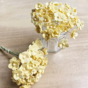 10 mm.100 Stück.Miniatur Maulbeerpapier,Miniatur Blume aus Papier,Maulbeerpapier,Puppenhaus Papierblume,Mini Blume,DIY Blume,Maulbeerbaum,