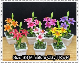 Größe SS,Miniatur Blumentopf,Miniatur Vase,Puppenhaus Blumentopf,Miniatur Garten,Puppenhaus Blumentopf,Puppenhaus