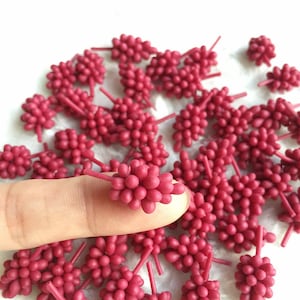 8 Pcs.of Red Grape Miniature,miniature fruit for doll&#39;house collection