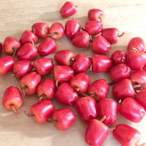 Miniatur Roter Apfel,Miniatur Apfel,Puppenhaus Apfel,Puppenhaus Obst,Miniatur Apfel,Puppenhaus Miniaturen Apfel,Roter Apfel
