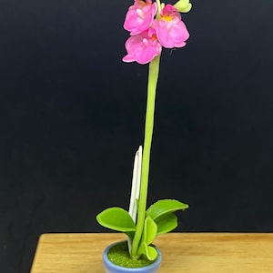 Miniatur Orchidee,Miniatur Blumentopf,Miniatur Orchidee Blume,Puppenhaus Blume,Miniatur Garten,Puppenhaus Orchidee,Elfengarten,Orchidee
