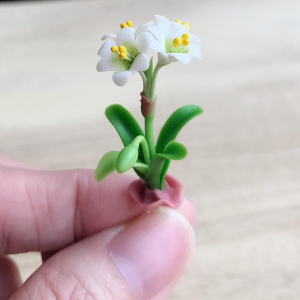 Miniature Flower,Miniature Flower Pot,Miniature Orchid,Dollhouse Flower,Miniature Garden,Dollhouse Orchid,Clay Flower