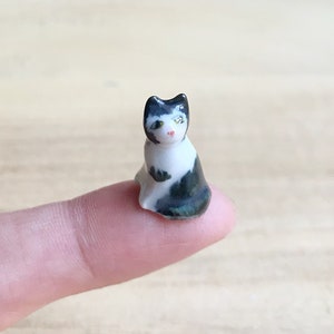 Miniatur Katze,Miniatur Tier,kleine Katze,Kitty,Puppen und Miniatur,Puppenhaus,Katze,Handmade,Geschenk Idee,Miniatur Kitty,Katze