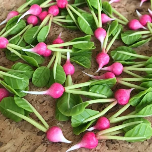 5/10/20pcs.Miniature Red Radish, Miniature Red Turnip, Miniature Vegetables, Red Radish, Red Turnip, Dollhouse Vegetables, VG029