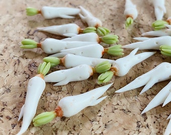 5 pcs. Miniature White Radish, Miniature White Turnip, Handmade Miniature Turnip, Miniature Vegetables, Small Radish, VG032