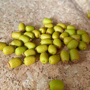 Miniature Kiwi,Miniature Fruit,Kiwi Fruit,Dollhouse Kiwi,Dollhouse Fruit,Miniature Handmade,Dollhouse Miniatures Kiwi Fruit