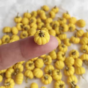 8 st. Miniatyrpumpa, Miniatyr Halloweenpumpor, Miniatyr Gul Pumpa, Liten Pumpa, Halloweenprojekt, VG003