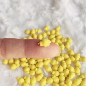 Miniature Lemon, Miniature vegetables, Dollhouse Miniature, Handmade Lemon, Small Lemon, Dollhouse lemon, Mini lemon, Yellow Lemon, VG011