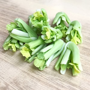 2/5/10 pcs. Miniature Celery, Dollhouse Celery, Miniature Vegetable, Dollhouse Vegetables, Small Celery, Mini Celery, Green Celery, VG019 image 1