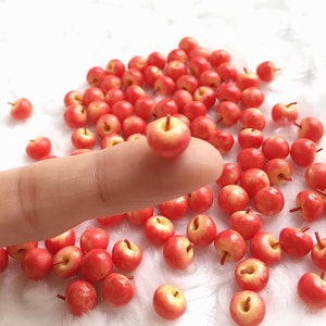 10oder 20 Teile roter Apfel,Puppen und Miniatur,Puppenhaus,Miniatur Obst,Miniatur Süßigkeiten,Miniatur Essen,handgefertigte Miniatur