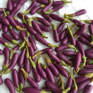 10 or 20 pcs. Miniature Egg Plant, Miniature Purple Egg Plant, Miniature Vegetable, Mini Egg Plant,Miniature Vegetable, Mini Egg Plant,VG035