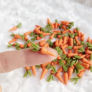 Peut inclure: Un grand groupe de mini-carottes orange avec des fanes vertes. Les carottes sont en plastique et font environ la taille du bout d'un doigt.