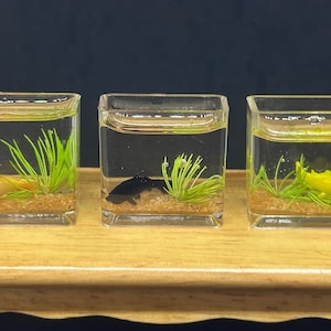 Miniature Fish,Miniature Fish Tank,Dollhouse Fish Tank,Miniature Dollhouse Accessories