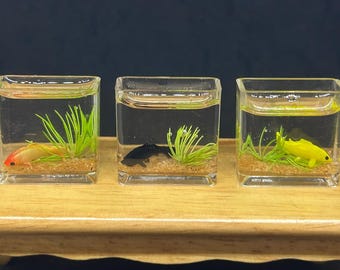 水槽の中のミニチュア粘土ディスカス - Etsy 日本