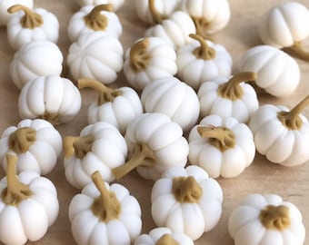 8 pcs. Miniature Pumpkin, Miniature Halloween Pumpkins, Miniature White Pumpkin, Small Pumpkin, Halloween Projects, VG002