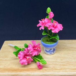 May include: Miniature pink hibiscus flowers with green leaves and buds. One arrangement is in a blue and white ceramic pot, the other is a small bouquet. The flowers are on a wooden surface.