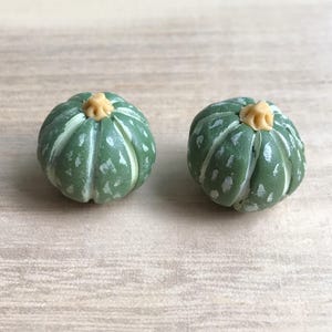 2/5 pcs. Miniature Pumpkin, Miniatures Pumpkin , Miniature Vegetable, Miniature Halloween Pumpkin, Mini Pumpkin, Halloween Project, VG004