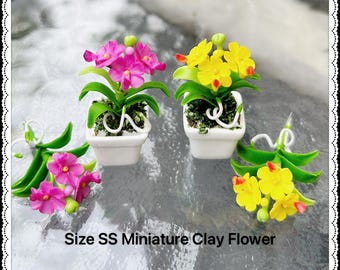 Größe SS,Miniatur Blumentopf,Miniatur Vase,Puppenhaus Blumentopf,Miniatur Garten,Puppenhaus Blumentopf,Puppenhaus