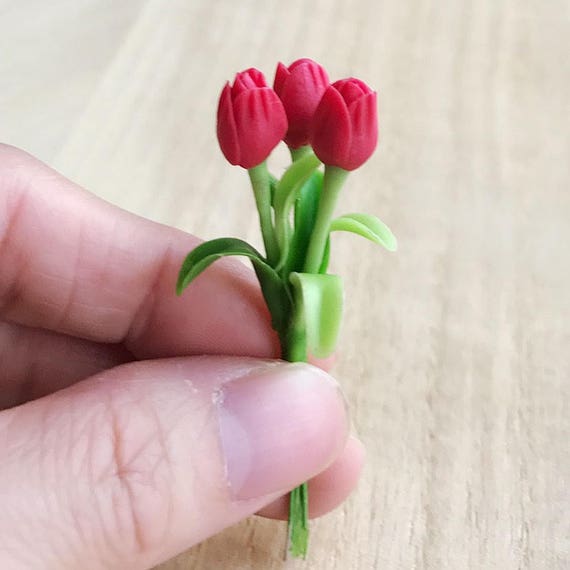 1 Pezzo Pianta Di Tulipano In Vaso Per La Festa Della Mamma - Foto 8