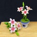 see more listings in the Mini Clay Flower section