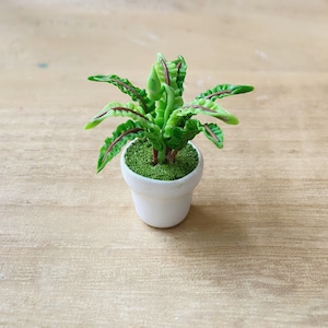 Miniature Plant in Flower Pot,Miniature Leafs,Dollhouse Decoration,Miniature Flower Vase,Miniature Accessories,miniature Flower pot
