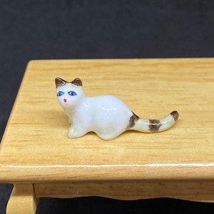 Miniatur Katze,Miniatur Tier,kleine Katze,Kitty,Puppen und Miniatur,Puppenhaus,Katze,Handmade,Geschenk Idee,Miniatur Kitty,Katze