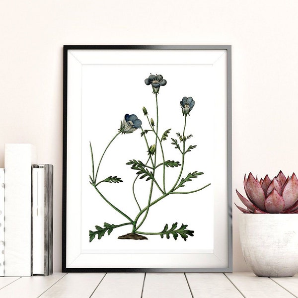 Garden Botanical 18 Printable Wall Art, Inspirational Quotes, Downloadable Art, Black and White, Home Office Decor, Downloadable Print