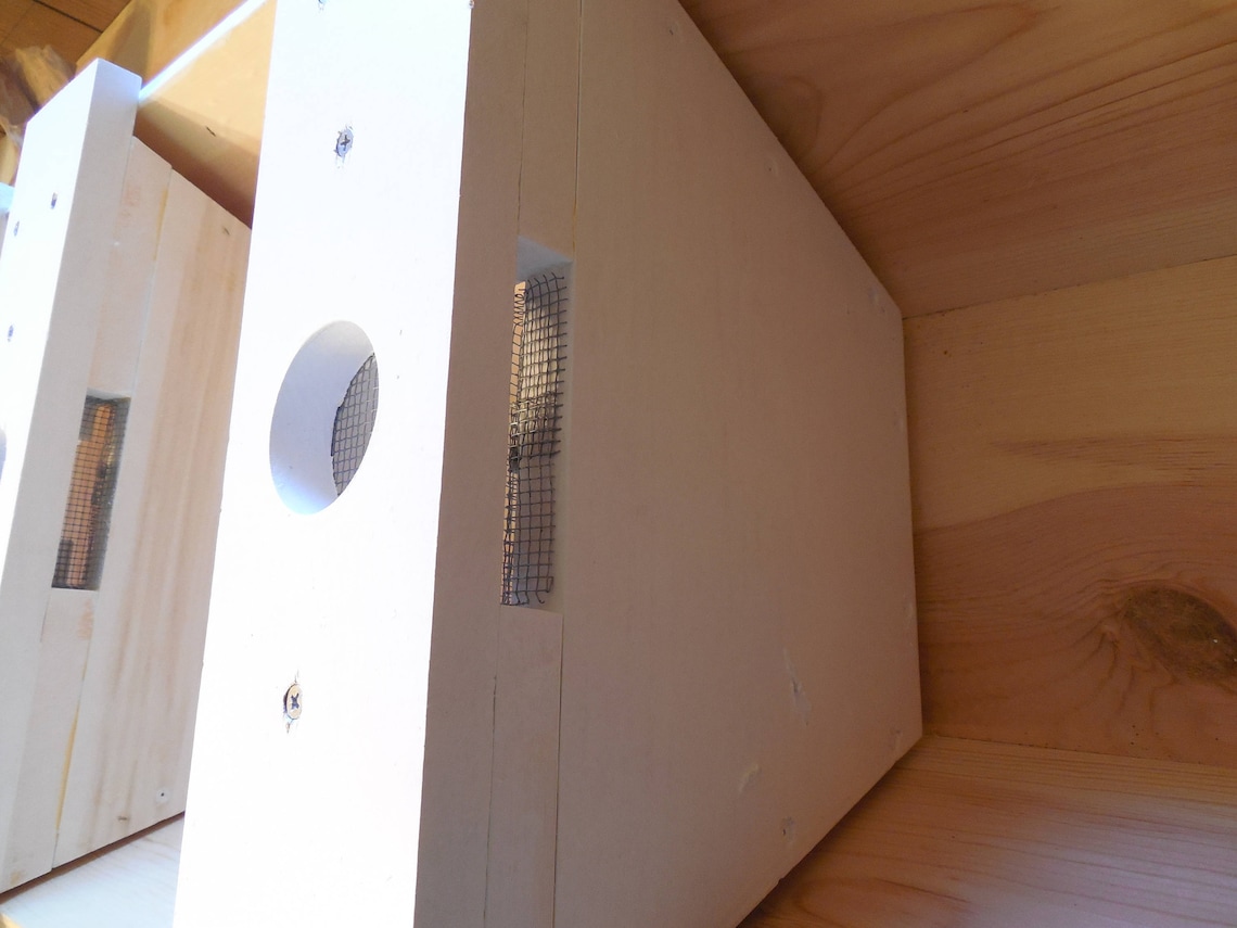 Top Bar Hive Feeder Etsy