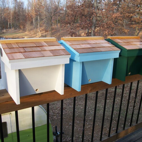 Top Bar Hive Feeder Etsy