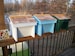 Top Bar Nuc  Bee Hive w/8 top bars w/Observation Window Nucleus Beehive 